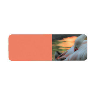 Flamingo Sunset Return Address Label