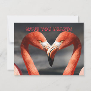 FLAMINGO TALK CHANGE OF ADDRESS CARD