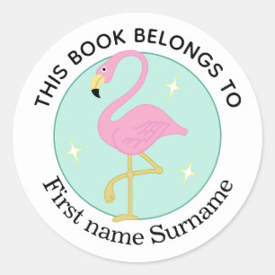 Flamingo This Book Belongs To Personalised  Classic Round Sticker
