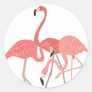 Flamingo Trio Classic Round Sticker