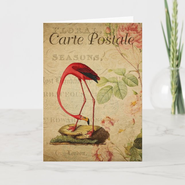 Flamingo Vintage French Postcard Card (Front)