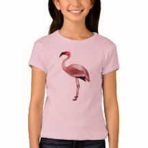 Flamingo vintage illustration
