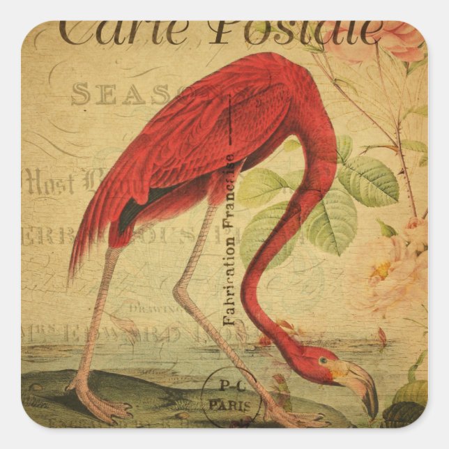 Flamingo Vintage Postcard Painting Square Sticker (Front)