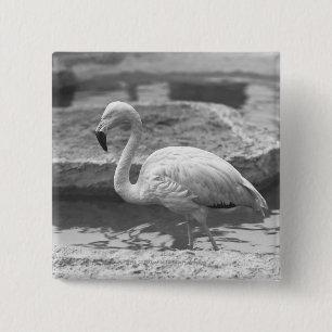 Flamingo wading in water B&W 15 Cm Square Badge