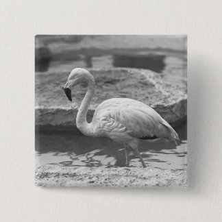 Flamingo wading in water B&W 15 Cm Square Badge
