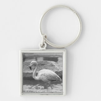 Flamingo wading in water B&W Key Ring