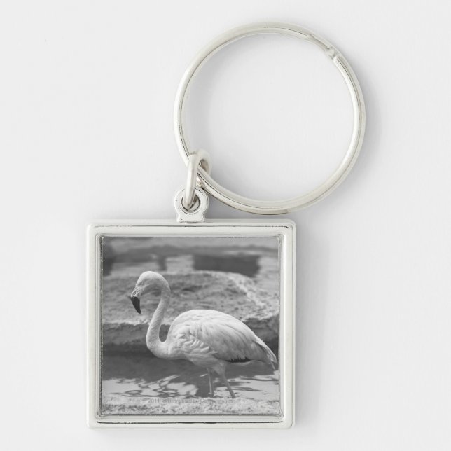 Flamingo wading in water B&W Key Ring (Front)
