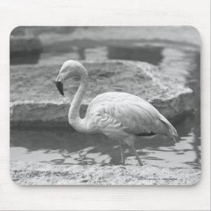Flamingo wading in water B&W Mouse Mat