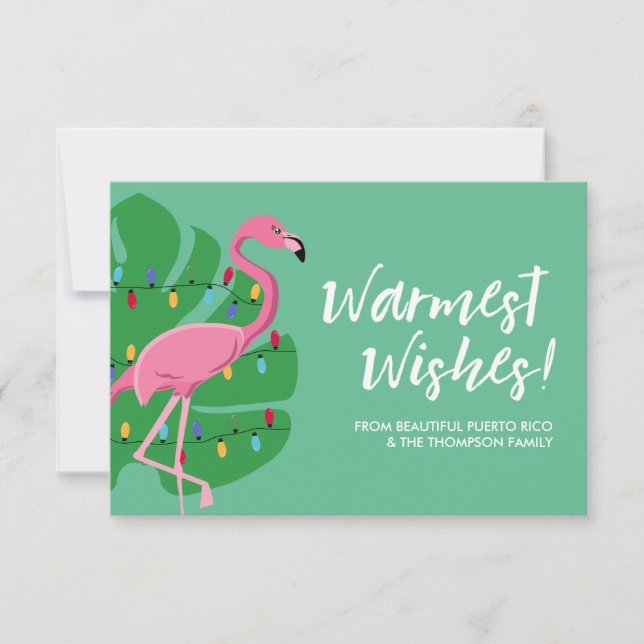 Flamingo Warmest Wishes Holiday Family  Card (Front)