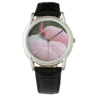 Flamingo  watch