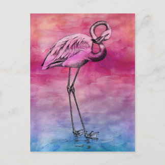 Flamingo Watercolor Vintage Pink Flamingos Retro Postcard