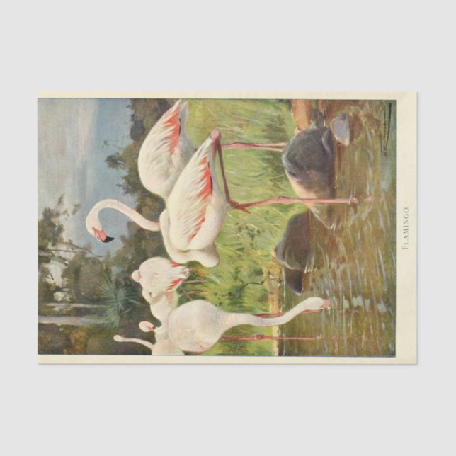 Flamingoes Bird Ephemera Decoupage Tissue Paper (Front)