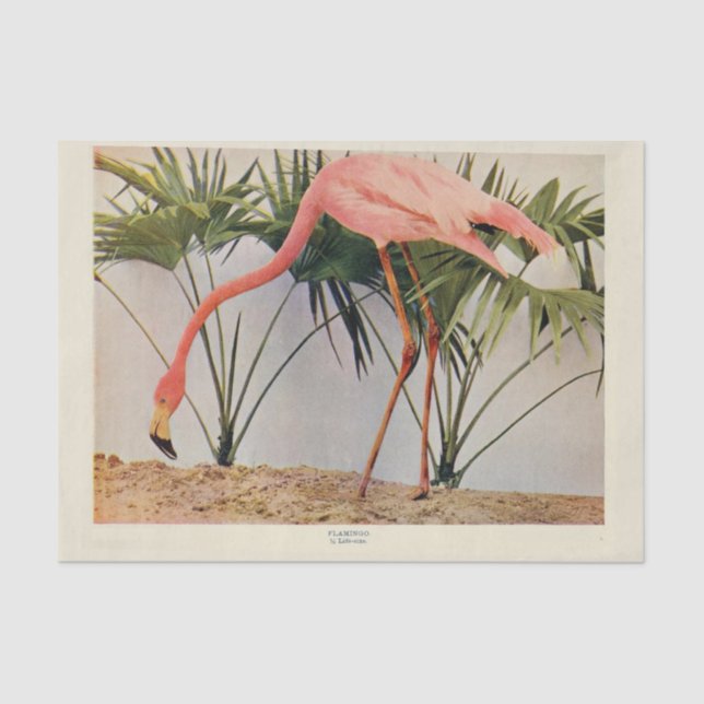 Flamingoes Bird Ephemera Decoupage Tissue Paper (Front)