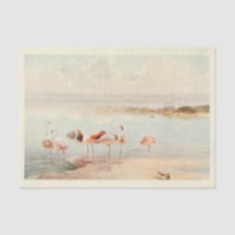 Flamingoes Bird Ephemera Decoupage Vintage Art