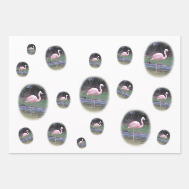 FlamingoFun Wrapping Paper Sheet (Front)