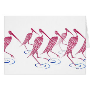 Flamingos