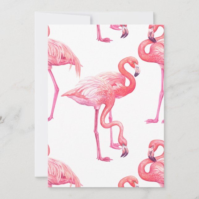 Flamingos (Front)