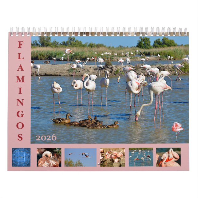 Flamingos 12 month calendar (Cover)