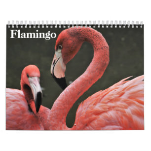 Flamingos 2025 calendar