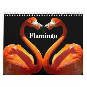 Flamingos 2025 calendar