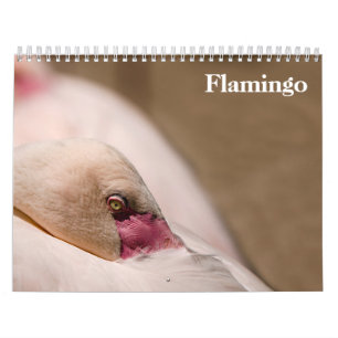 Flamingos 2025 calendar