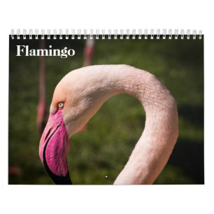 Flamingos 2025 calendar