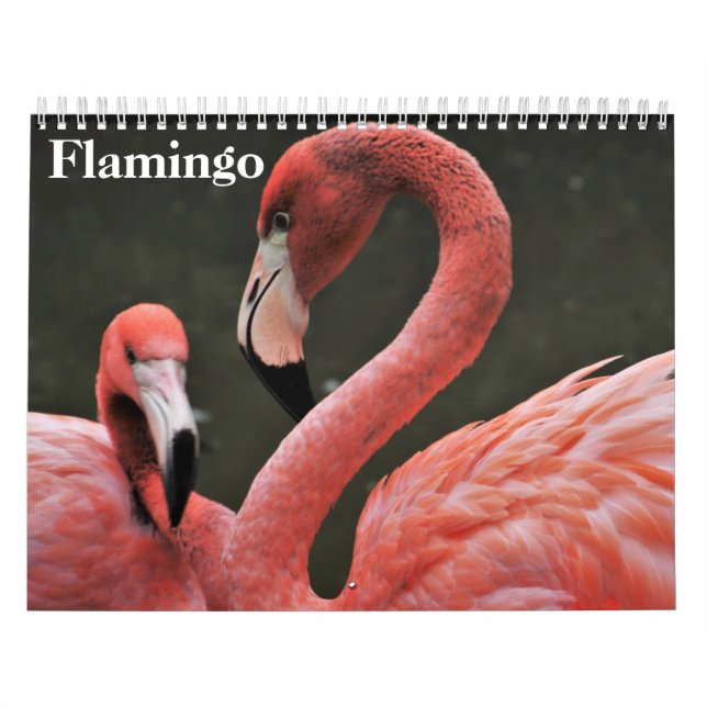 Flamingos 2026 calendar (Cover)
