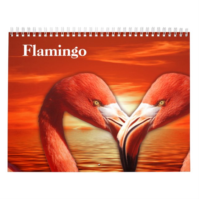 Flamingos 2026 calendar (Cover)