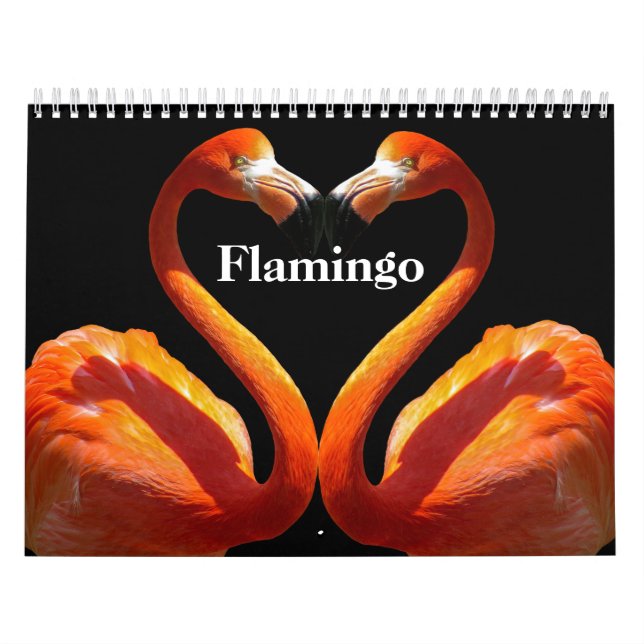 Flamingos 2026 calendar (Cover)