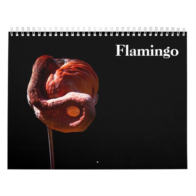 Flamingos 2027 calendar (Cover)