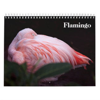 Flamingos 2027 calendar