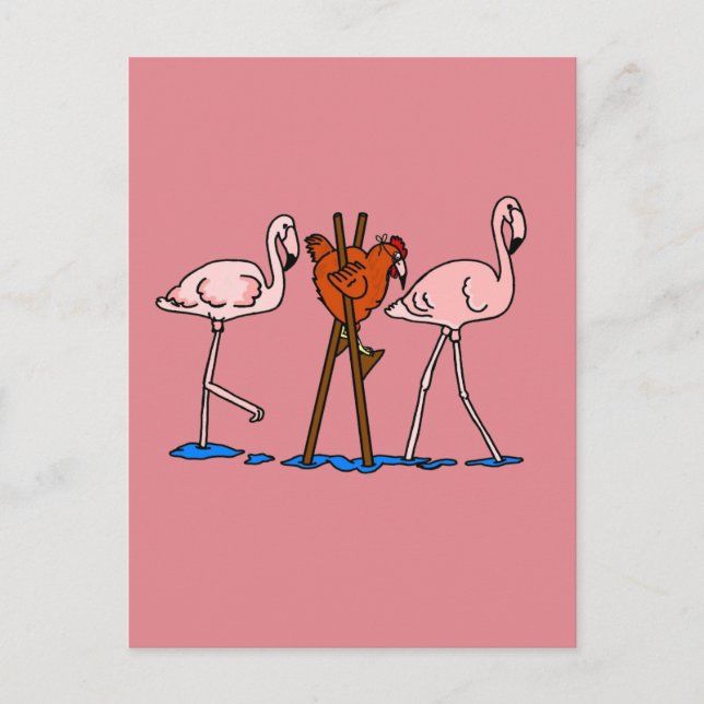 Flamingos And Chicken With Pink Background Postcard (Front)