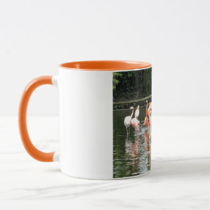 Flamingos and reflections mug