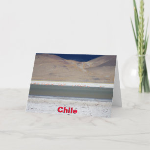 Flamingos at Salar del Huasco, Chile Card