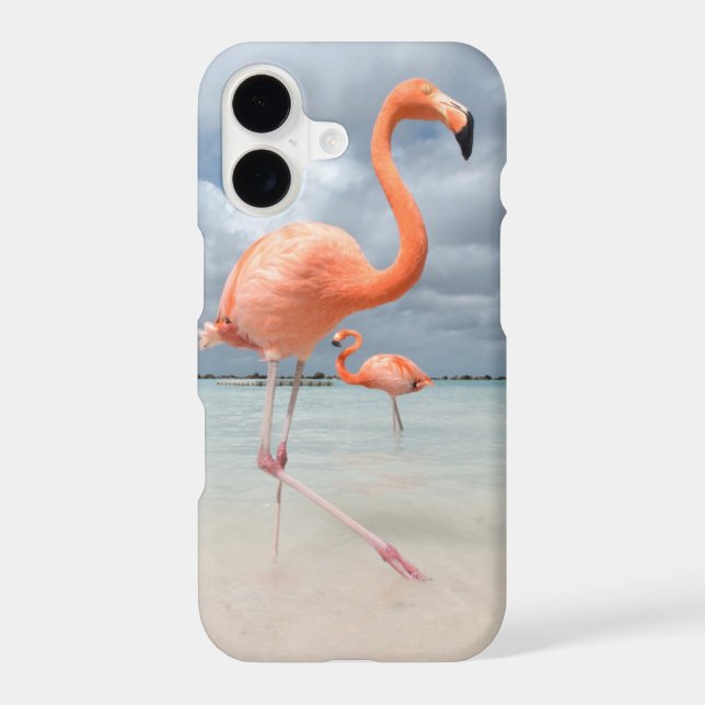 Flamingos Beach Aruba (Back)