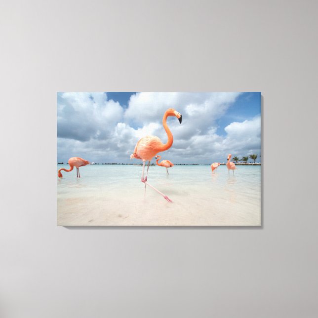 Flamingos Beach Aruba Canvas Print (Front)