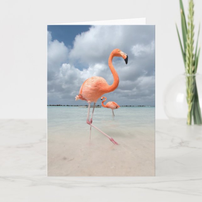 Flamingos Beach Aruba Card (Front)
