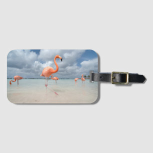 Flamingos Beach Aruba Luggage Tag
