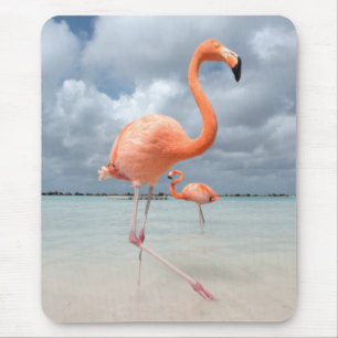 Flamingos Beach Aruba Mouse Mat