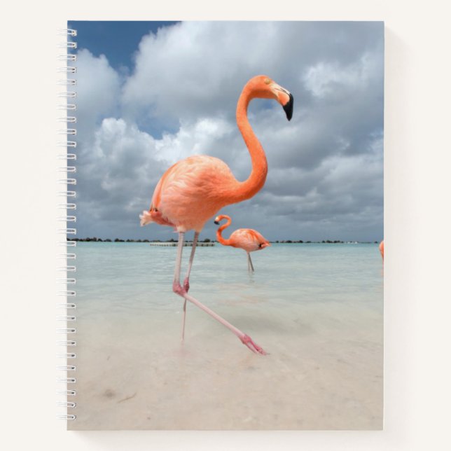 Flamingos Beach Aruba Notebook (Front)