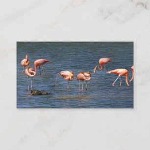 Flamingos Business Card