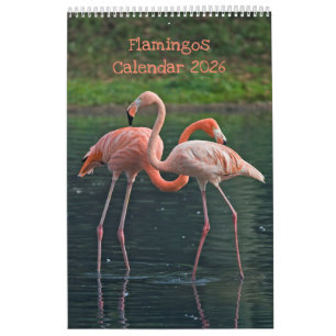 Flamingos Calendar 2025