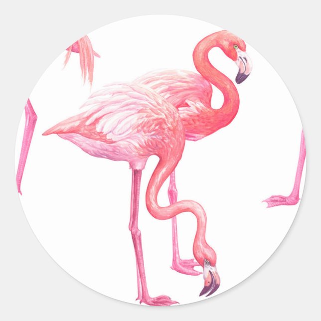 Flamingos Classic Round Sticker (Front)