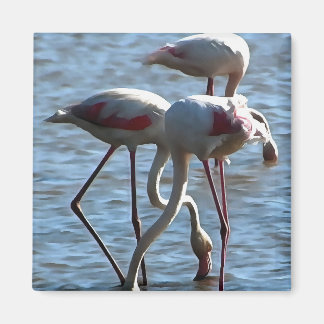 Flamingos Feeding Time Acrylic Painting Magnet