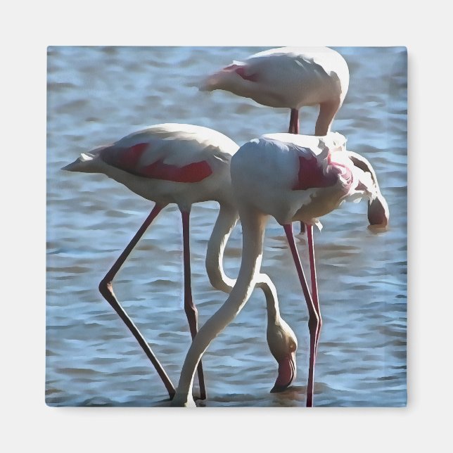 Flamingos Feeding Time Acrylic Painting Magnet (Front)