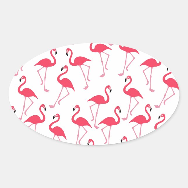 flamingos Flimingos Oval Sticker (Front)
