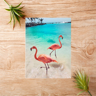 Flamingos Greeting Card