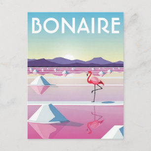 Flamingos in Bonaire Dutch Caribbean Postcard
