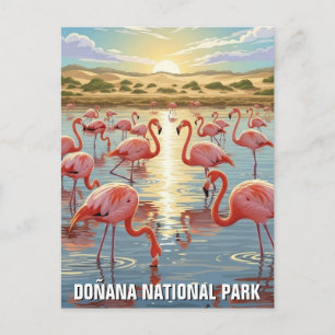 Flamingos in Donana National Park Travel Postcard