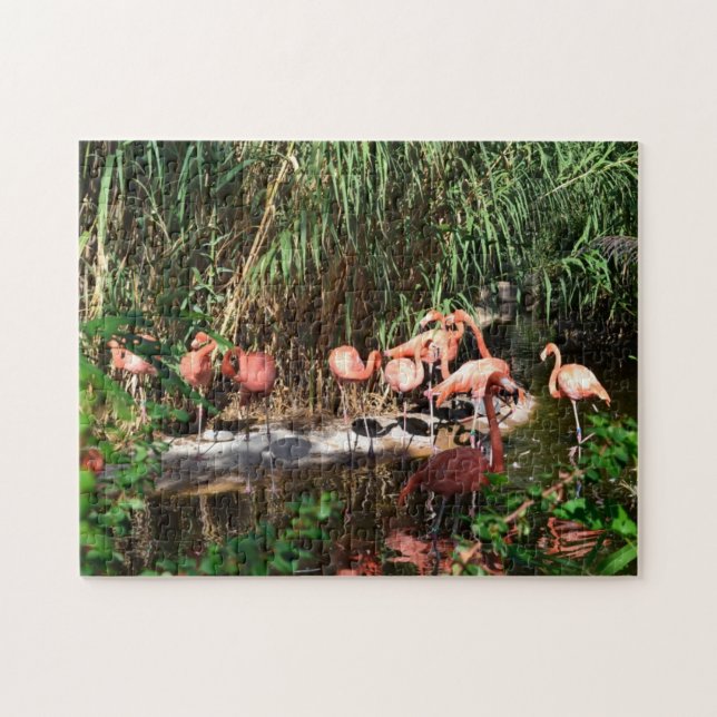 Flamingos Jig Saw Puzzle (Horizontal)